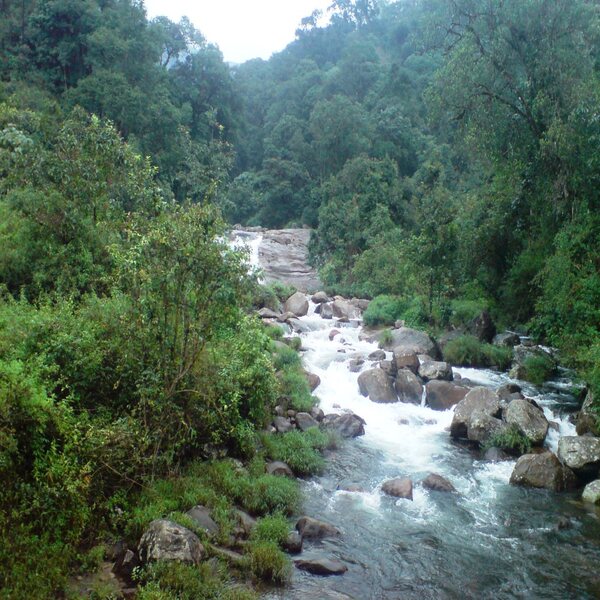 Then take a dip at the Chinna kallar river, Cherapunji of the South! And the drive to  Nallamudi View Point.