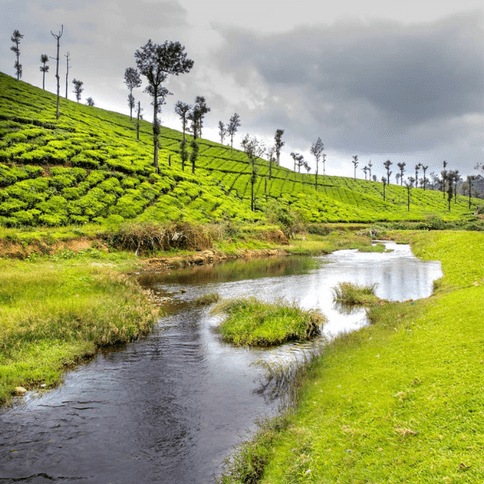 Checkout from the hotel to take a dip at the Koolangal river rushing in between the tea estates; After the trip, take a devotional trip to Karumalai Balaji temple or Karumalai Church