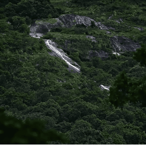 Drive to Monkey falls 2-3km from the dam, to take a dip. Then reach Valparai, and stay overnight in the hotel or resort.
