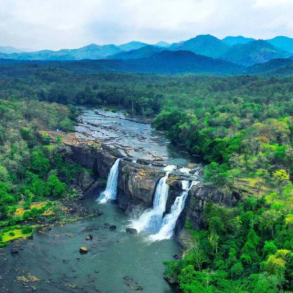 Start your day driving to witness the rushing Nayagara of Kerala - The Athyrapalli falls. Then watch the Hornbills at the Hornbill view point.