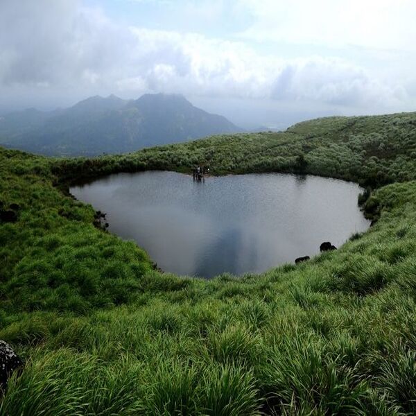 Day 2: Check out and Drive early to the Chembra Peak to enjoy the Grasslands. d