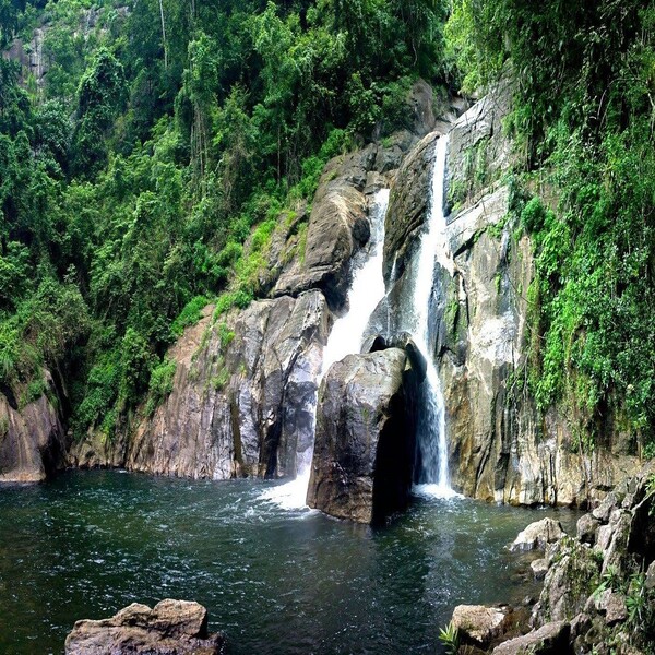 Day 1: Check out from the hotel and arrive early at Meenmutty falls, where you can swim or take a dip.