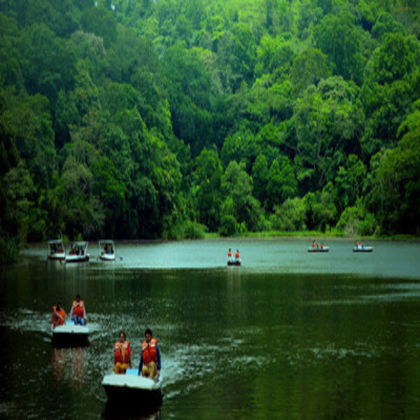 After the dam visit, enjoy the boating in Pookode lake, and return to the hotel.
