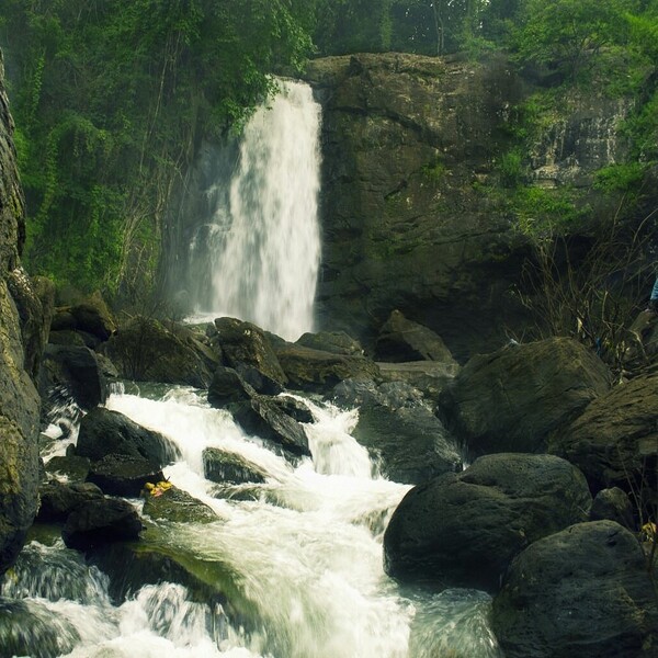 End the day with Soochipara falls, and drive back to the hotel