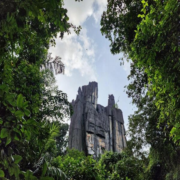 Day 3: Drive to the trailhead and begin a forest trek to the towering limestone formations. Wander through the mystic caves; great for light spelunking and geology interest.