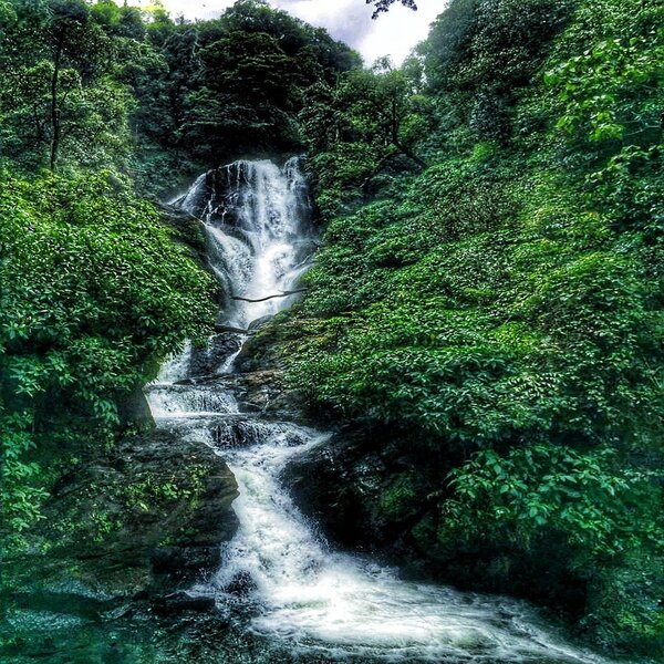 End your trip with a jungle trek and a refreshing swim in natural pools under the waterfall.